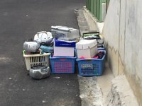 IMG 3568