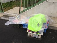 IMG 3578