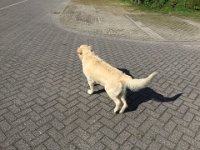 IMG 3622