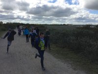 IMG 3675