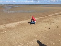 IMG 3697