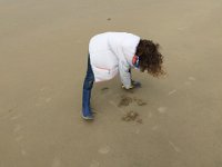 IMG 3756