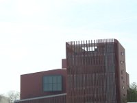IMG 0539