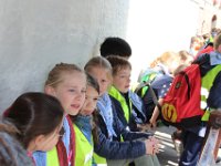 IMG 0554
