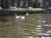 IMG 0595