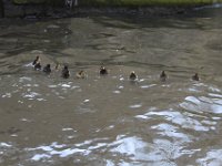 IMG 0615