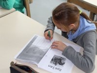 IMG 1190