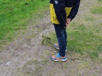 IMG 0248