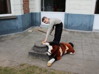 IMG 0387