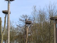 IMG 1988